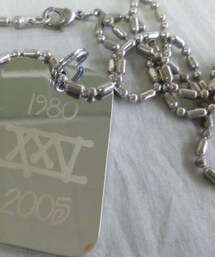 STUSSY | stussy ドックタグ(ネックレス)