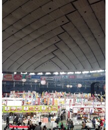 ふるさと祭り東京 | その他