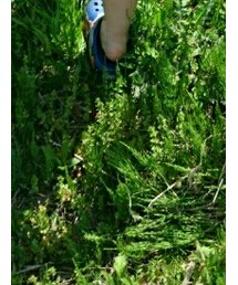 crocs | サンダル