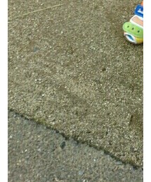 Double.b | サンダル