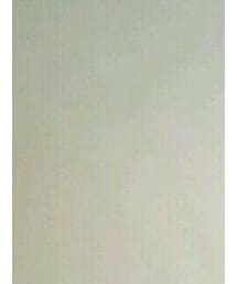 Lee | Tシャツ/カットソー