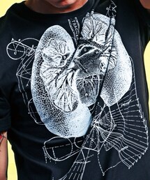 Woden | Tシャツ/カットソー