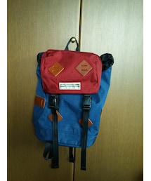 WILDERNESS EXPERIENCE | go slow caravan コラボ(バックパック/リュック)