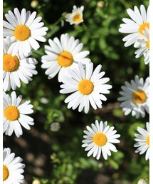 天気が良くて撮影 | その他