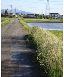 カメラを持って散歩 | その他