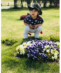 ☆ | その他