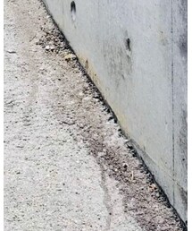 ZARA KIDS | トップス