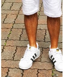 TOMMY HILFIGER | ソックス/靴下