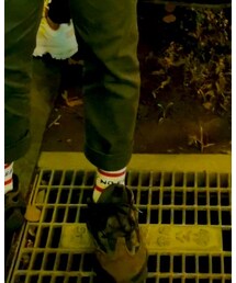 stage | タイツ/ストッキング