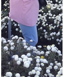 GIORDANO | デニムパンツ