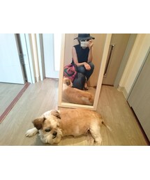 犬さん！(笑) | その他