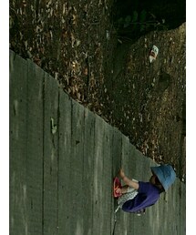 SHIPS | トップス