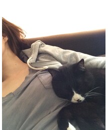 金古屋 | 甘えにゃんこ♡(ハット)