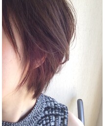 アクセサリーカラー | その他