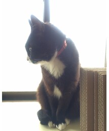 LOWRYS FARM | デニムパンツ