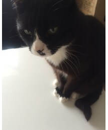 GU | サロペット/オーバーオール