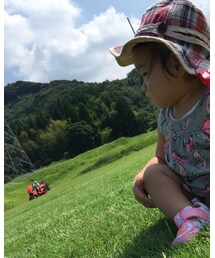 パパわ芝刈り | その他