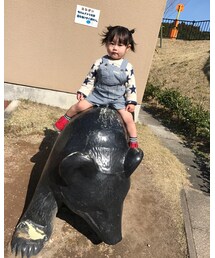 動物園 | その他