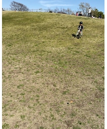 🚴‍♂️✨ | その他