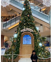 🎄 | その他