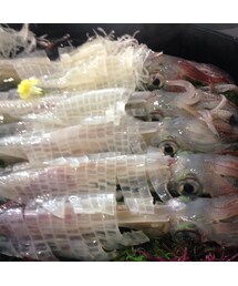 いかの活き造り(その他)