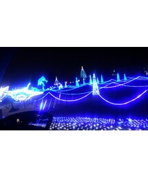 その他 | その他