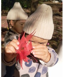 紅葉狩り | その他