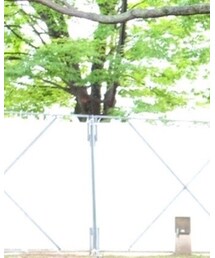 梅小路公園🌲 | その他