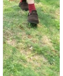 BIRKENSTOCK | シューズ
