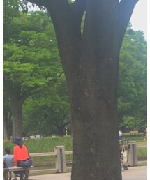 TSUNAGIJAPAN | シャツ/ブラウス