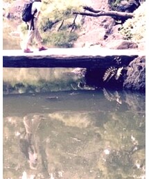 COMME des GARCONS | ベルト