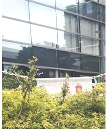 TSUNAGI | シャツ/ブラウス