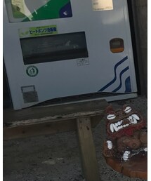 TSUNAGI | シャツ/ブラウス