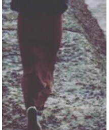 used | ワンピース