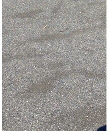 古着 | シャツ/ブラウス