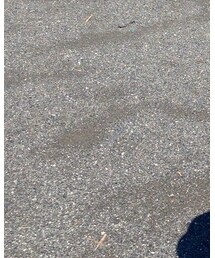 古着 | サロペット/オーバーオール