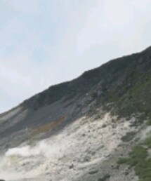 adidas | ジャケット/アウター