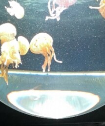 H&M | その他パンツ