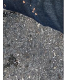 ひっつき虫 | アクセサリー