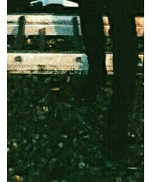 Dr. Martens | ブーツ