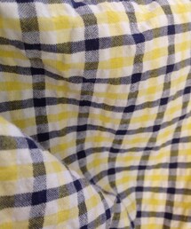 Spick & Span | チェックノースリーブシャツ(シャツ/ブラウス)