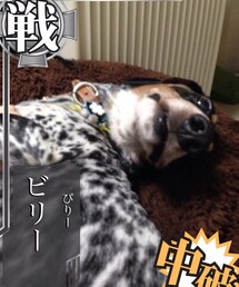 その他 | by艦これカメラ(その他)