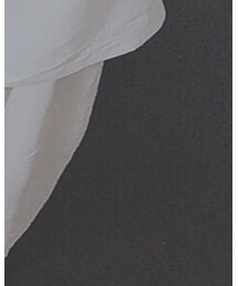 白翏 | トップス