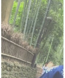 嵐山の竹林🎍 | その他