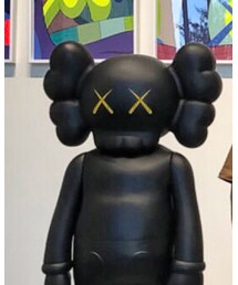KAWS | その他