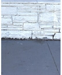 FOREVER 21 | スカート