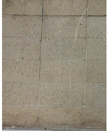 Green Parks topic | バッグ