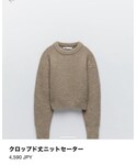 ZARA(ザラ)の「トップス(ニット/セーター)」