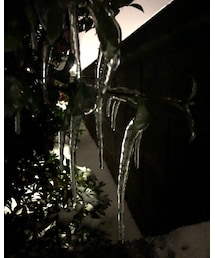 つらら❄️❄️ | 福袋/福箱