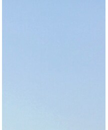 Champion | Tシャツ/カットソー